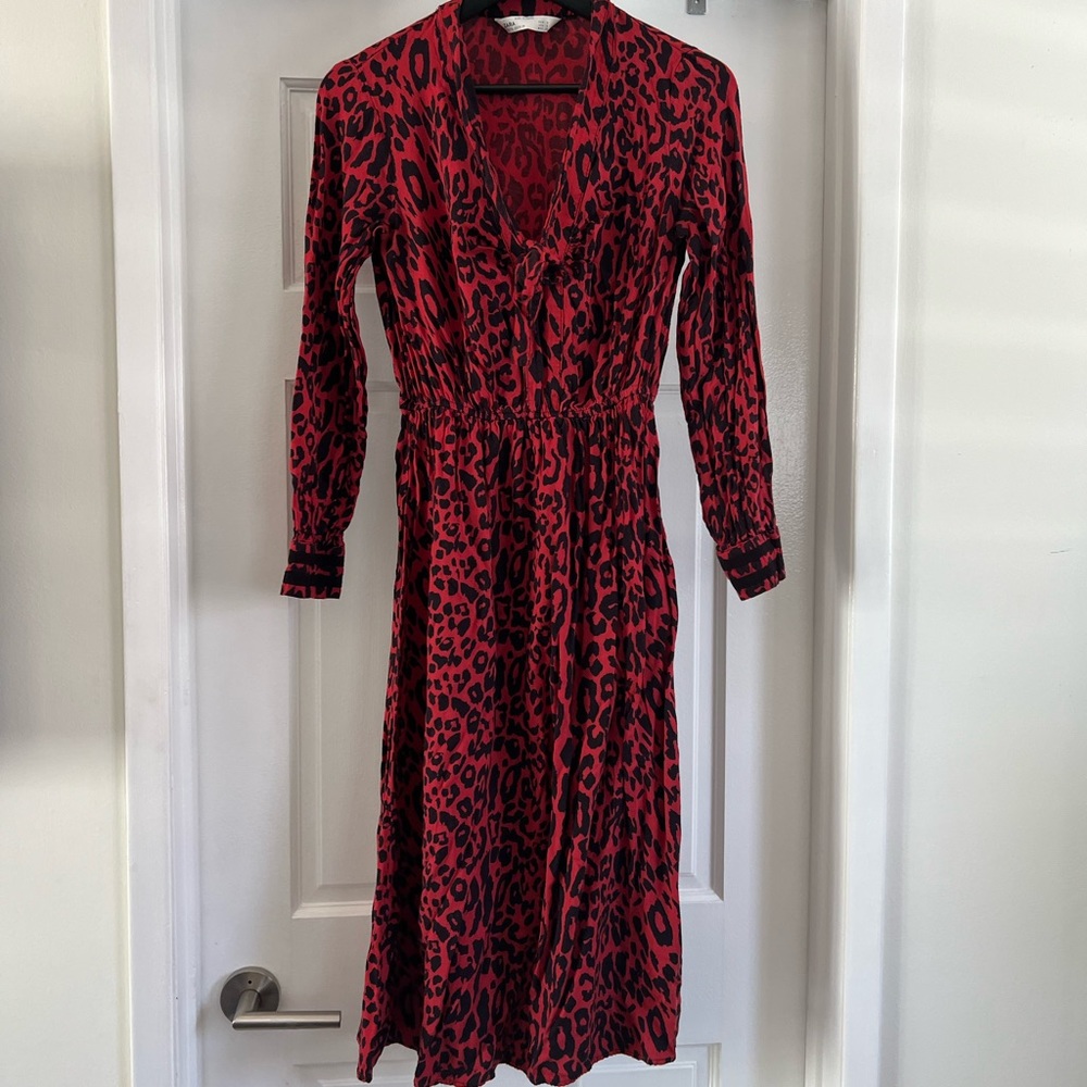 Zara Cheetah Print Dress